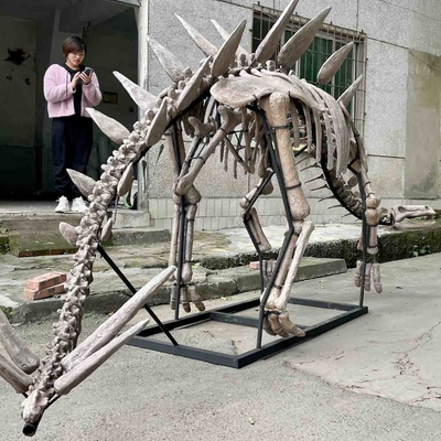 प्रदर्शनी जुरासिक पार्क डायनासोर कंकाल, डायनासोर अस्थि प्रतिकृतियां