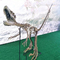 शॉपिंग मॉल डायनासोर कंकाल प्रतिकृति आकार अनुकूलन योग्य डायनासोर खोपड़ी जीवाश्म