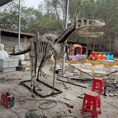 खरीदें आउटडोर / इनडोर जीवन आकार डायनासोर खोपड़ी प्रतिकृति, डायनासोर जीवाश्म प्रतिकृतियां online manufacture