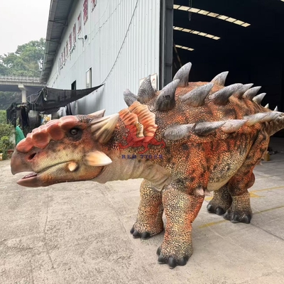 खरीदें अनुकूलित प्रदर्शन यथार्थवादी एनिमेट्रोनिक Ankylosaurus डायनासोर डबल पोशाक online manufacture