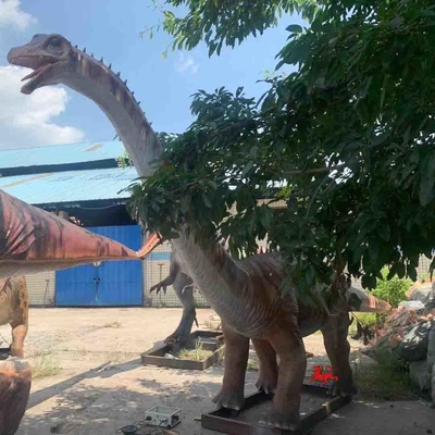 नाम