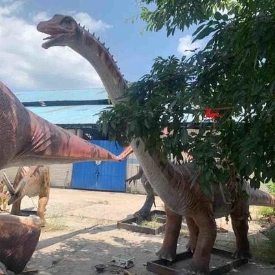 नाम
