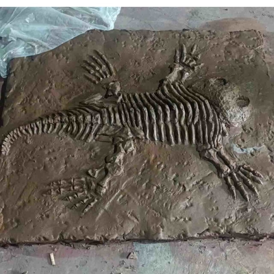 नाम