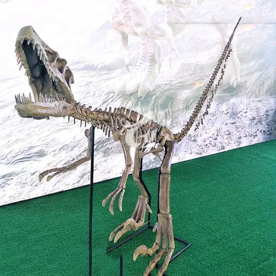 नाम