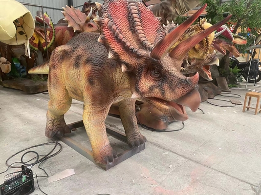 नाम