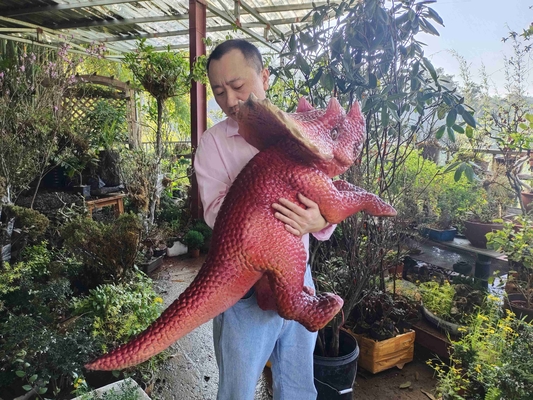 नाम