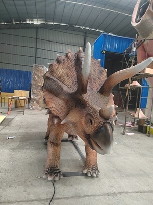 नाम