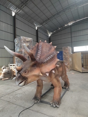 नाम