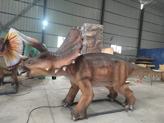 नाम