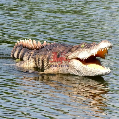 नाम