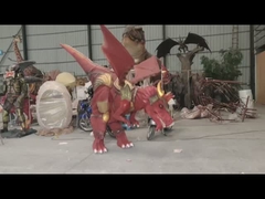 लाल मक्खी ड्रैगन पोशाक