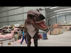 निजीकरण यथार्थवादी डायनासोर पोशाक कारचारोडोंटोसॉरस मॉडल